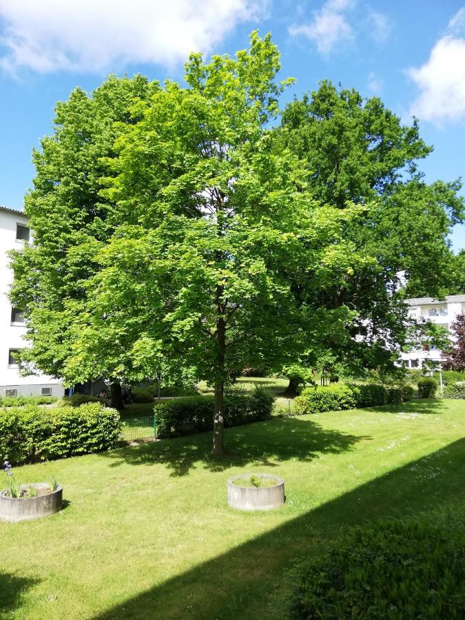 Breitschuhs Havenwelten